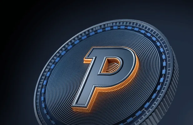 Paydrom interface
