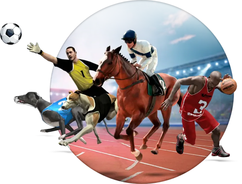 Virtual Sports interface
